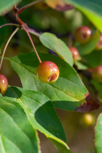 场均4.625球，挪威队创造世欧预小组赛阶段场均最多进球纪录
